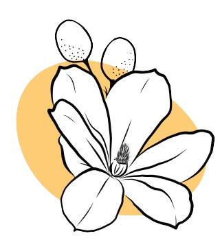 logo maria bunita